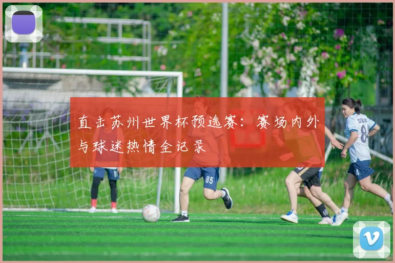 直击苏州世界杯预选赛：赛场内外与球迷热情全记录