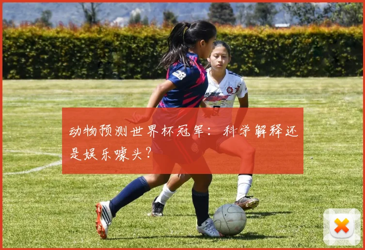 动物预测世界杯冠军：科学解释还是娱乐噱头？
