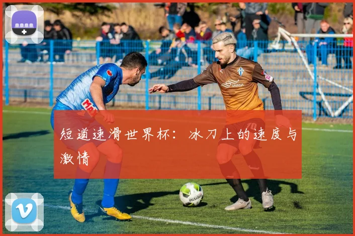 短道速滑世界杯：冰刀上的速度与激情