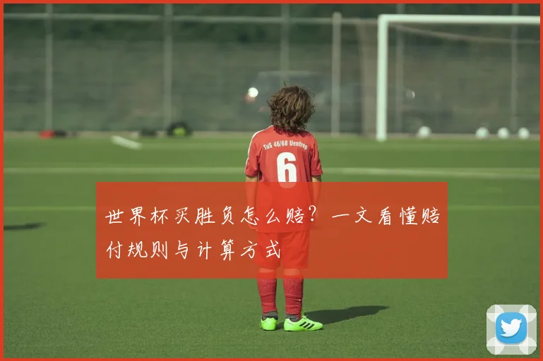 世界杯买胜负怎么赔？一文看懂赔付规则与计算方式