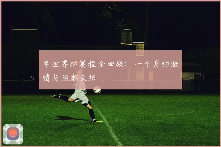 年世界杯赛程全回顾：一个月的激情与泪水交织