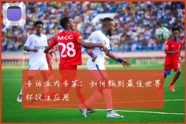 专访业内专家：如何甄别最佳世界杯投注应用