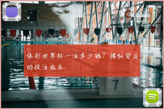 体彩世界杯一注多少钱?揭秘背后的投注成本