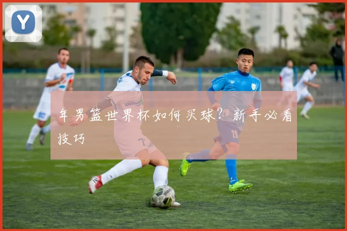 年男篮世界杯如何买球？新手必看技巧