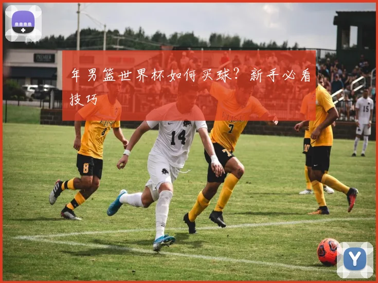 年男篮世界杯如何买球？新手必看技巧