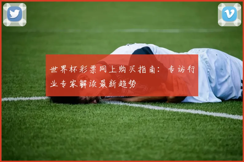 世界杯彩票网上购买指南：专访行业专家解读最新趋势