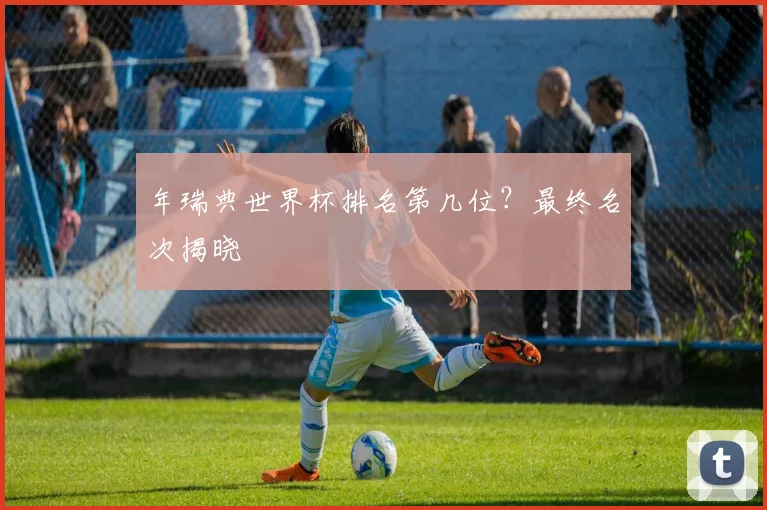 年瑞典世界杯排名第几位？最终名次揭晓