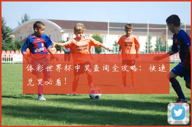 体彩世界杯中奖查询全攻略:快速兑奖必看!