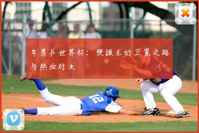 年男乒世界杯：樊振东的卫冕之路与热血对决