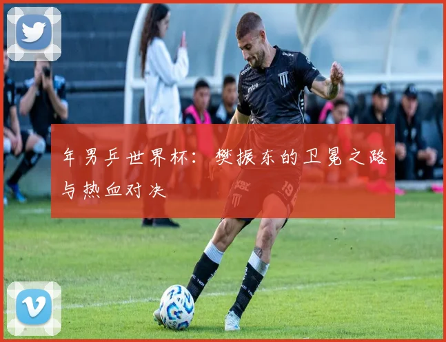 年男乒世界杯：樊振东的卫冕之路与热血对决