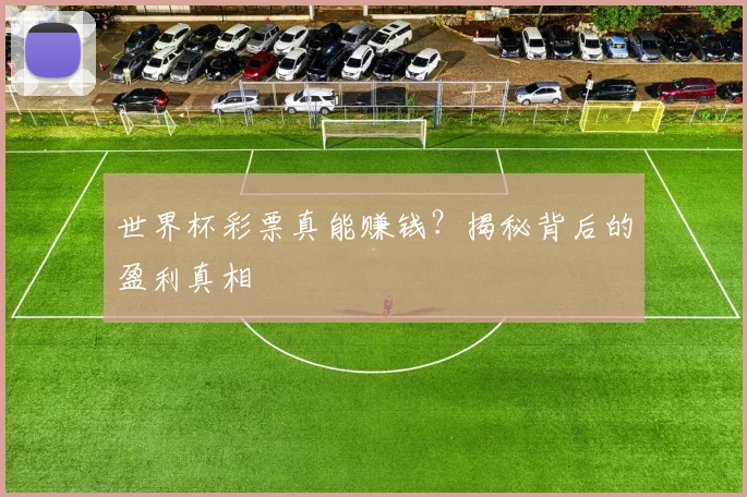 世界杯彩票真能赚钱？揭秘背后的盈利真相