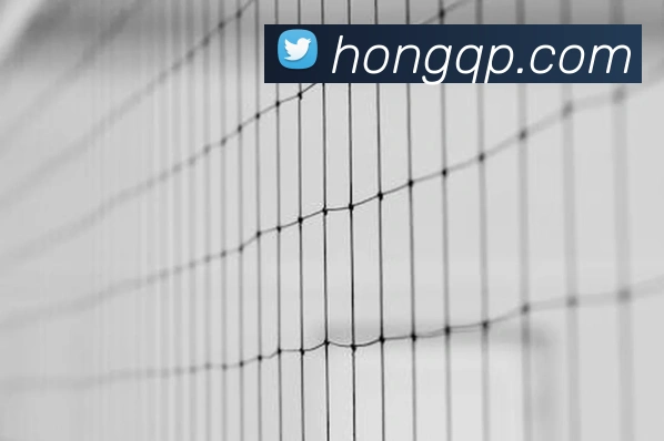 kaiyun体育app官网网页登录入口品牌故事