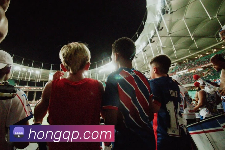 kaiyun体育app官网网页登录入口服务体系